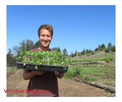 Organic Gardening, Vegetarian Cooking, Metalwork Arts At Buddhist Center