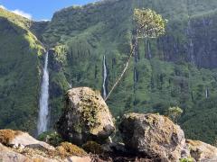 Volunteer in Margaca Waterfalls Garden, Island of Flowers