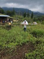 Necesitamos ayuda en un proyecto de permacultura