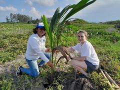 Environmental preservation and sea turtles