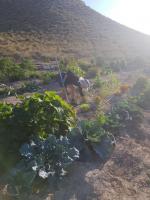 ANDALUCIAN ADVENTURE: ECO-LIVING IN A MOUNTAIN CAVE!