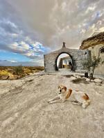 ANDALUCIAN ADVENTURE: ECO-LIVING IN A MOUNTAIN CAVE!