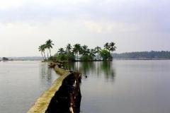 Explore the beaches and backwaters around in Kochi, Kerala & Exchange