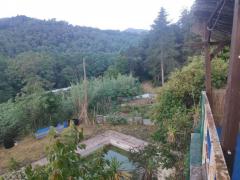 Arbucies, Girona. Ayuda para tareas de mantenimiento de casa y finca