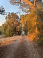 Voluntariado en Eco Villa en Mallorca: Aprende sobre Plantaciones Hidropónicas