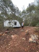 Voluntariado en Eco Villa en Mallorca: Aprende sobre Plantaciones Hidropónicas