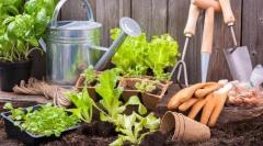 Community Garden