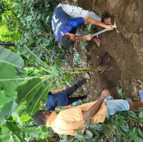 UNIQUE VOLUNTEERING CULTURAL EXPERIENCES AT NKOARANGA ORGANIC FARM.